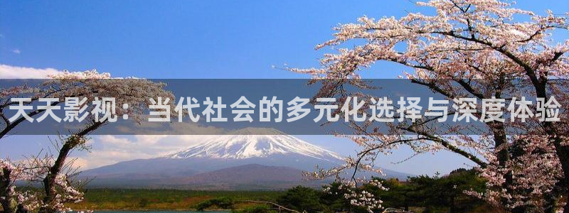 久久久米奇影院