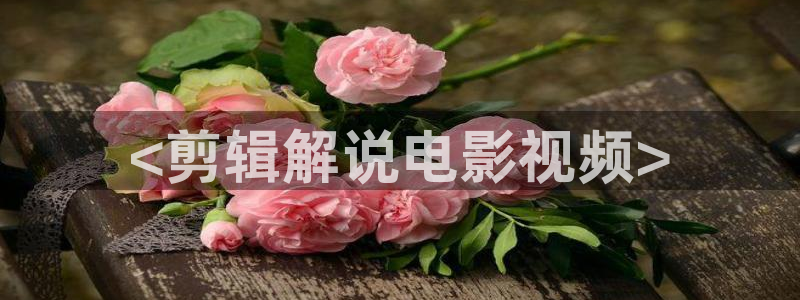 久久久久海量视频