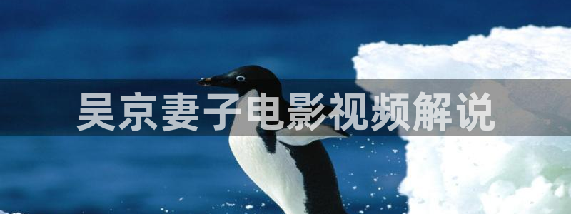 国产精品久久久久久久久久久电影：吴京妻子电影视频解说