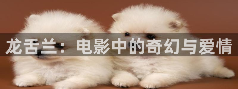 久久视频伦理：龙舌兰：电影中的奇幻与爱情