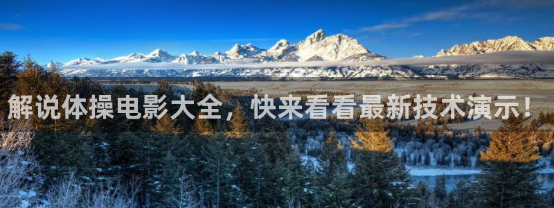 精品久久久成人影院：解说体操电影大全，快来看看最新技术演示！