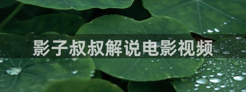 久久视频精品在线：影子叔叔解说电影视频