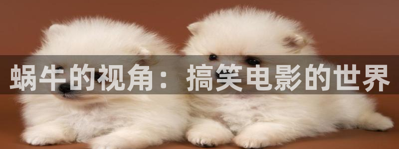 久久视频在线视频观看(：蜗牛的视角：搞笑电影的世界
