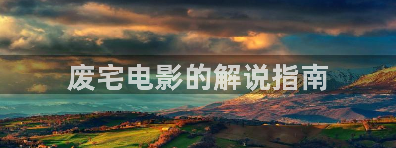 精品久久久电影：废宅电影的解说指南