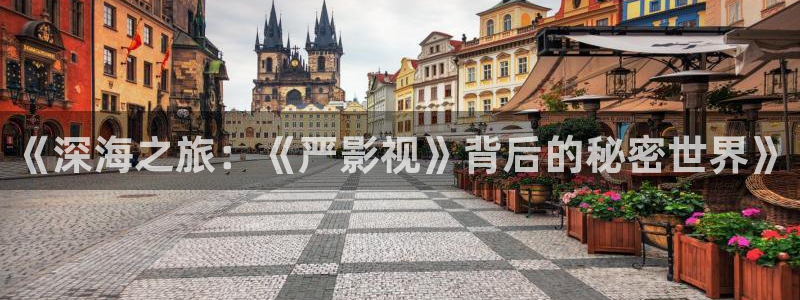 热久久视频免费：《深海之旅：《严影视》背后的秘密世界》