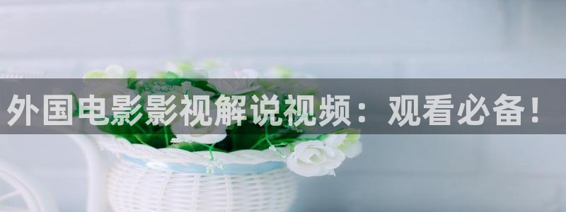 高清国产视频久久久久：外国电影影视解说视频：观看必备！