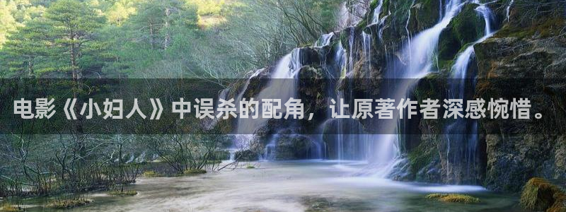 久久久久久成人免费视频：电影《小妇人》中误杀的配角，让原著作者深感惋惜。