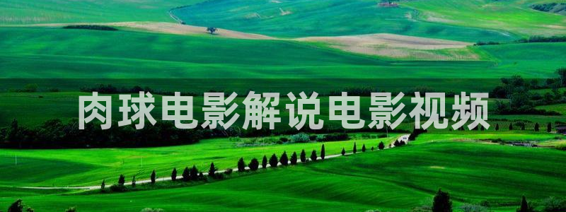 久久久久午夜影院：肉球电影解说电影视频
