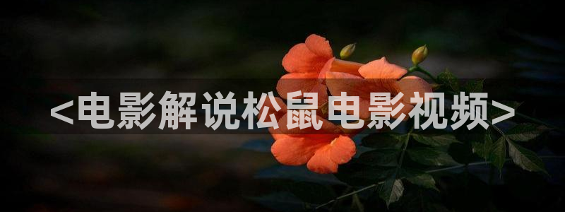 久久视频这里精品
