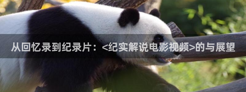 福利社久久视频：从回忆录到纪录片：<纪实解说电影视频>的与展望