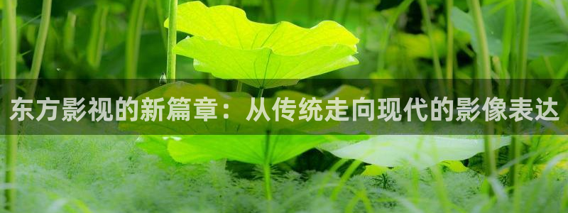 性久久视频：东方影视的新篇章：从传统走向现代的影像表达