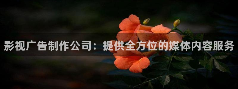 九九热久久视频：影视广告制作公司：提供全方位的媒体内容服务