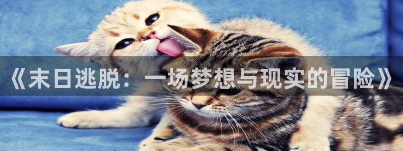 神马影院久久久久：《末日逃脱：一场梦想与现实的冒险》