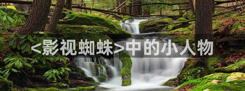 福利社久久视频：<影视蜘蛛>中的小人物