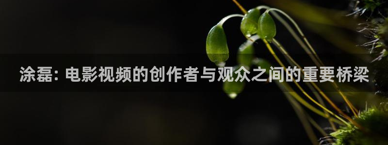 久久久影院蜜桃
