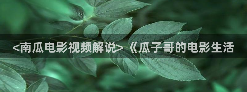久久久久久久国产精品电影：<南瓜电影视频解说> 《瓜子哥的电影生活